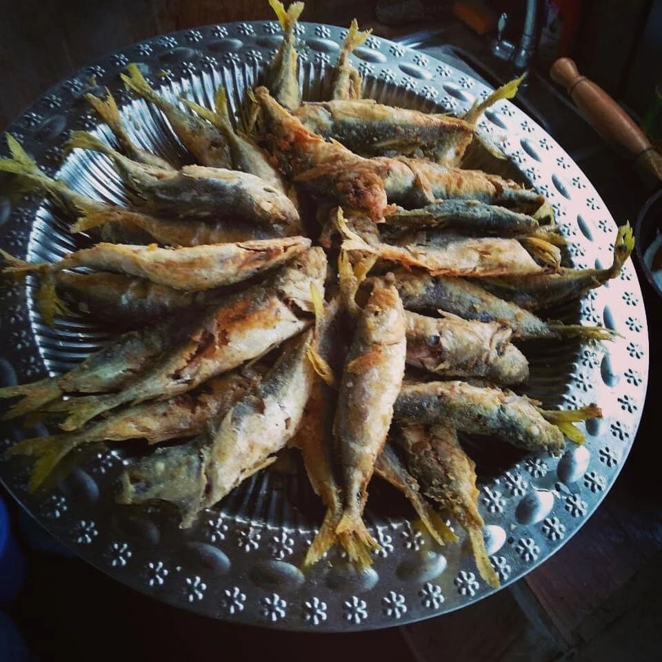 Морская Рыбалка