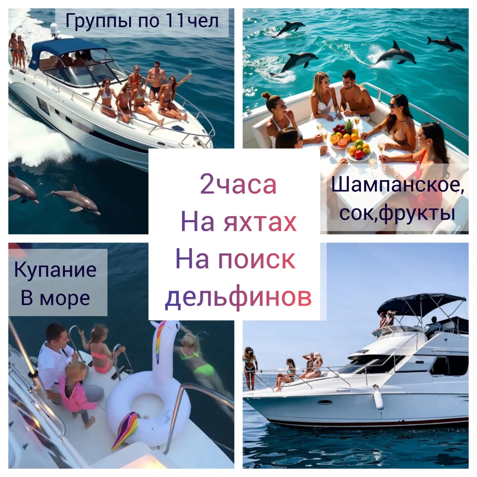 Встреча с Дельфинами.
